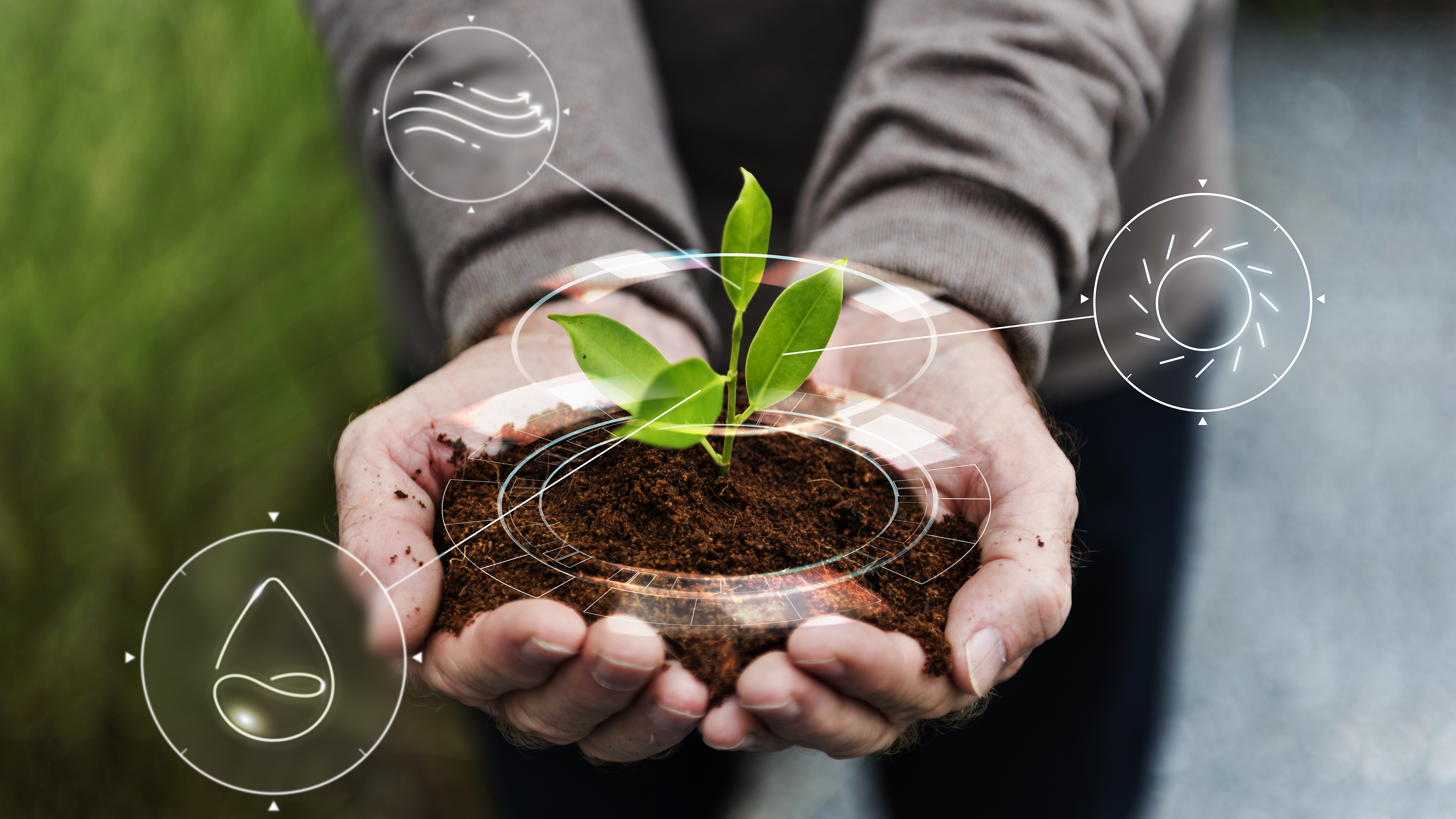 Intelligentes Landwirtschafts Iot Mit Handpflanzbaumhintergrund